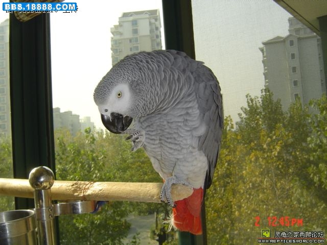 200812222305635430.jpg