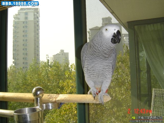200812222293861715.jpg