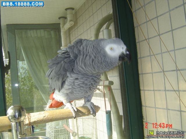 200812222295939352.jpg