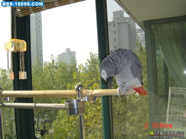 200812222303172822.jpg