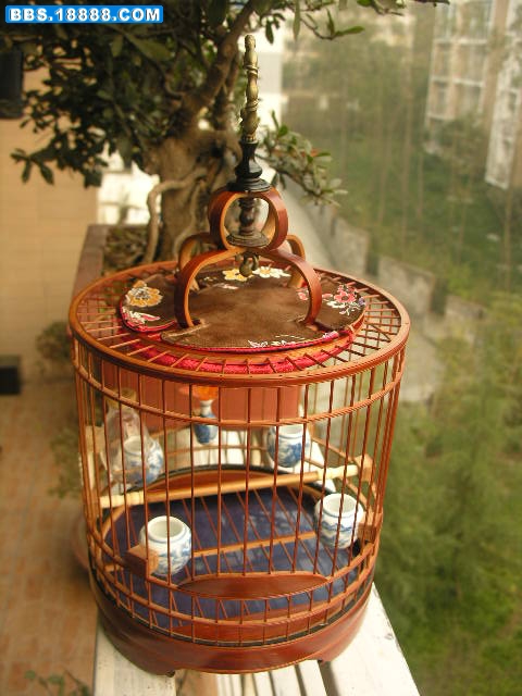 DSCN0542.JPG