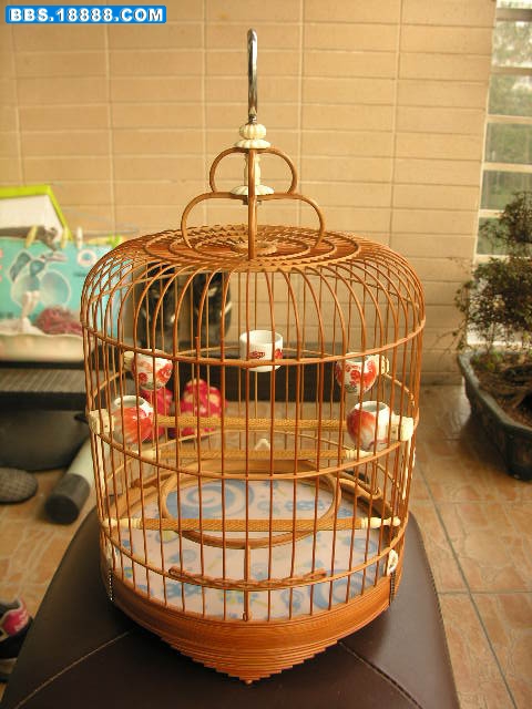 DSCN0544.JPG