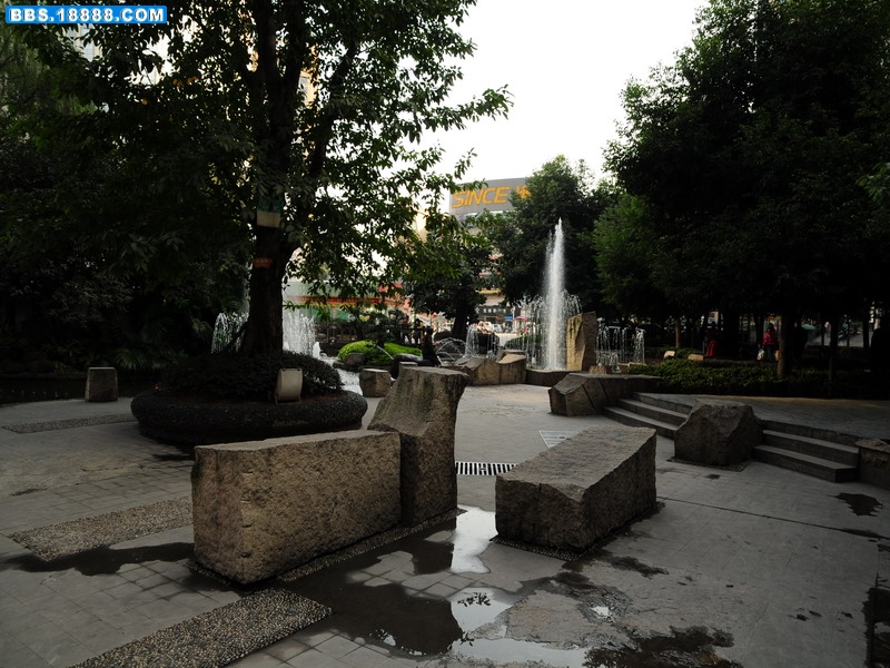 DSC_5661.jpg