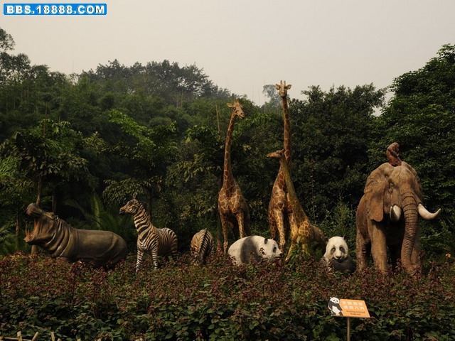 DSC_5853.jpg