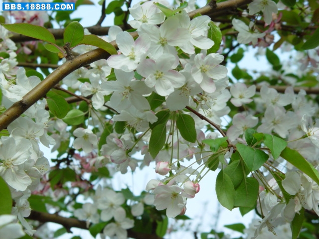 DSC03277.JPG