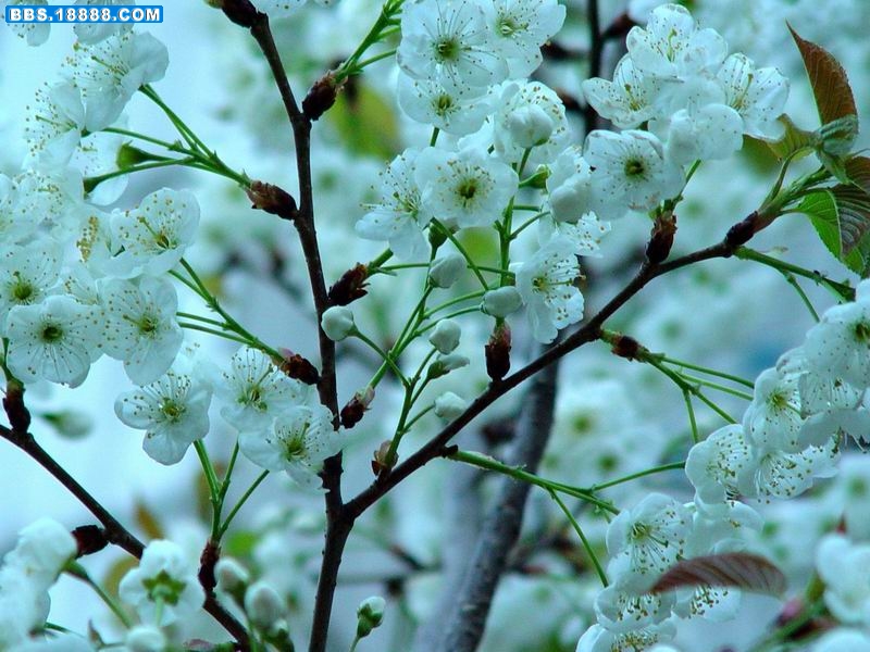 调整大小 DSC06331.JPG