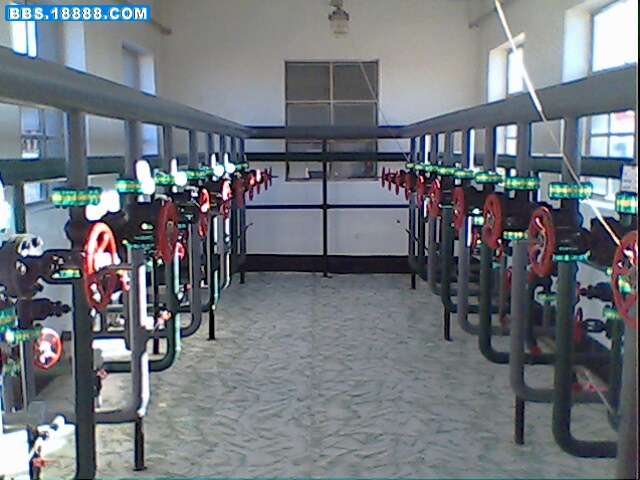 IMG0022A.jpg