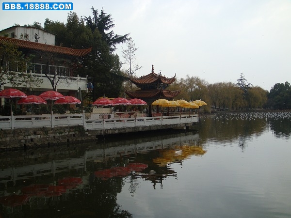 DSC01400_nEO_IMG.jpg
