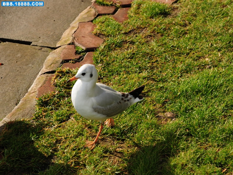 DSC_8141.jpg