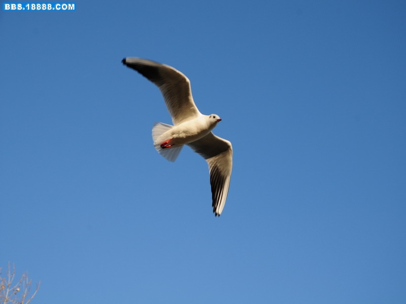 DSC_8370.jpg