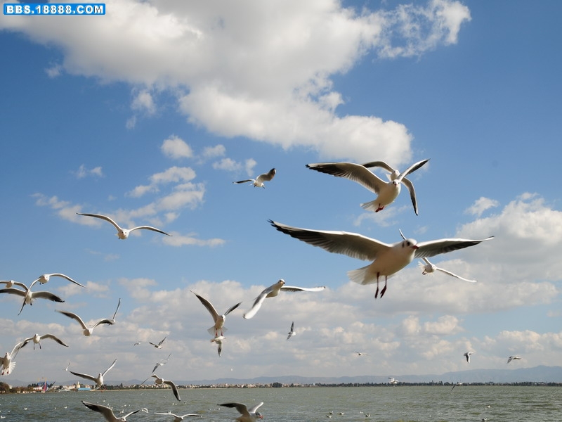 DSC_7789.jpg