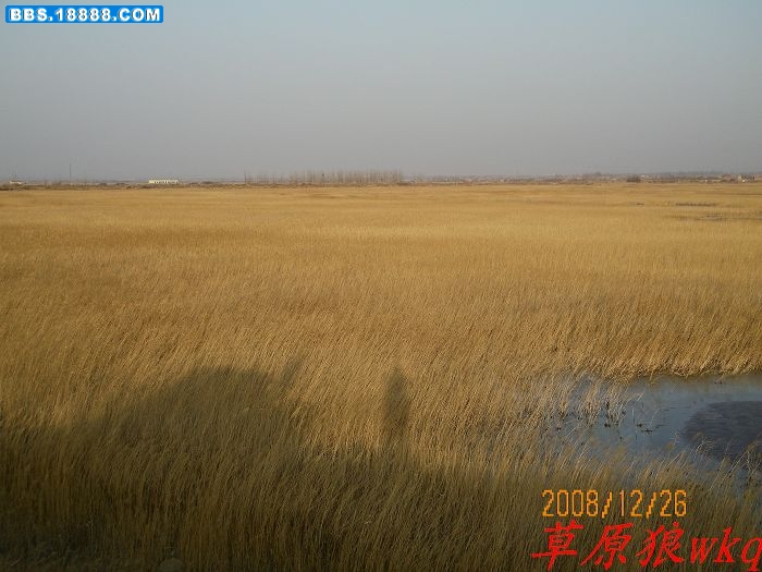 ling415001.jpg