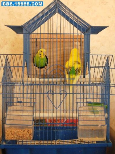 DSCN3044.JPG