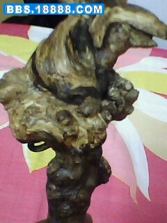 IMG0164A.jpg