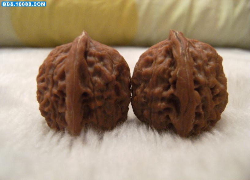 20081217_0b44197bb424136dee9bCzDjlnHLQeZ1.jpg