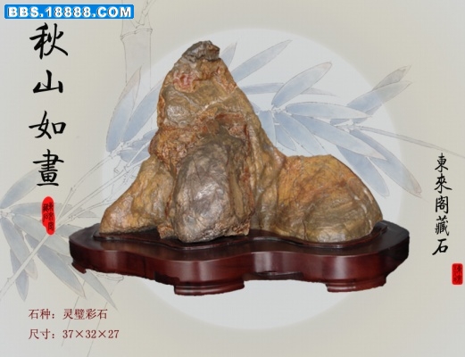 秋山.jpg