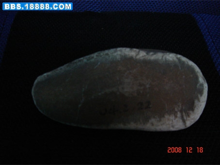05.jpg