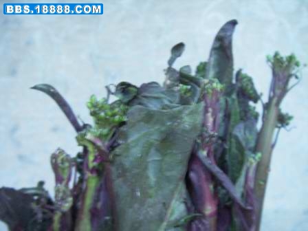 照片 029.jpg