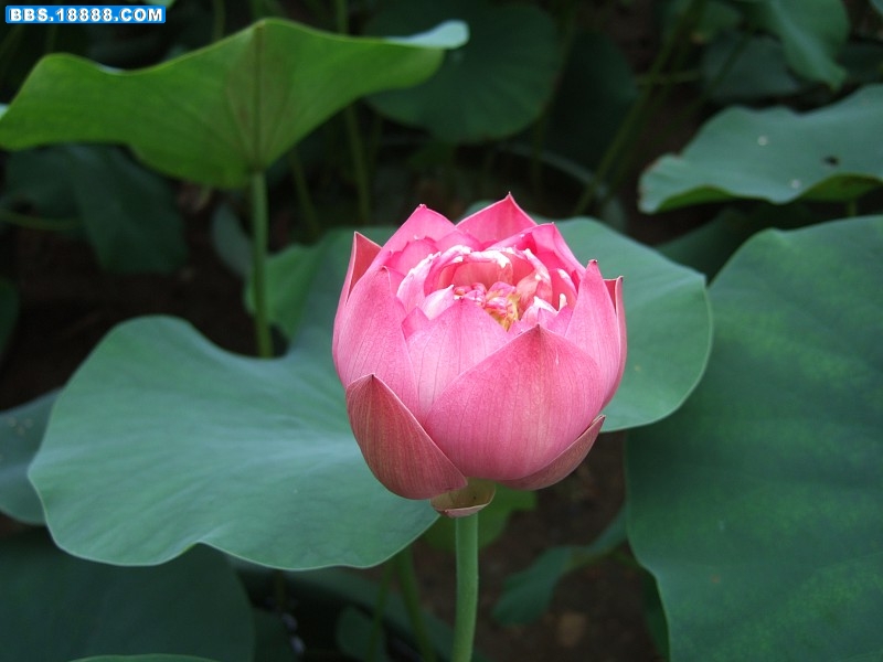 images002.jpg