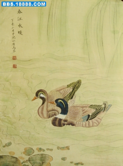 鸭子1.jpg