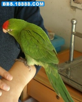 PB300198_副本.JPG