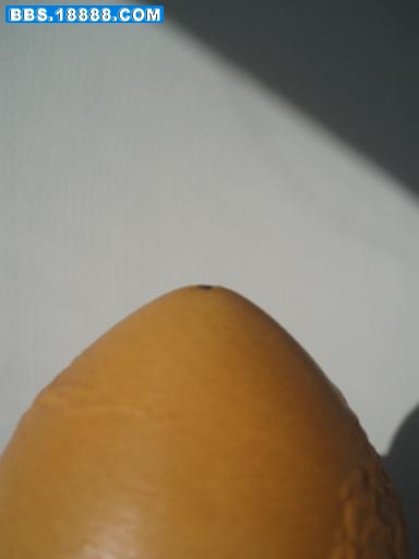 PB270271.JPG