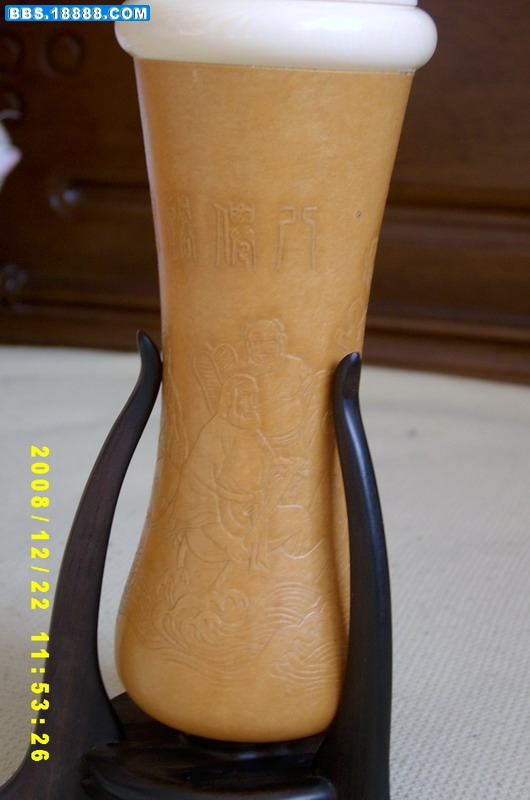 SV407020.jpg