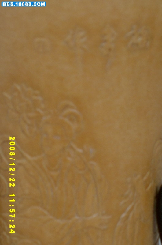 SV407025.jpg