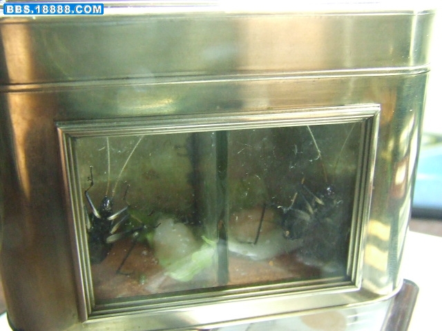 DSCF2734.JPG