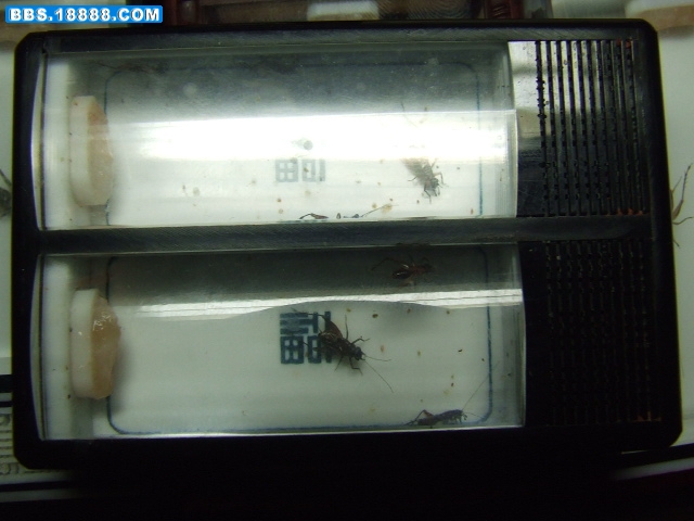 DSCF2731.JPG