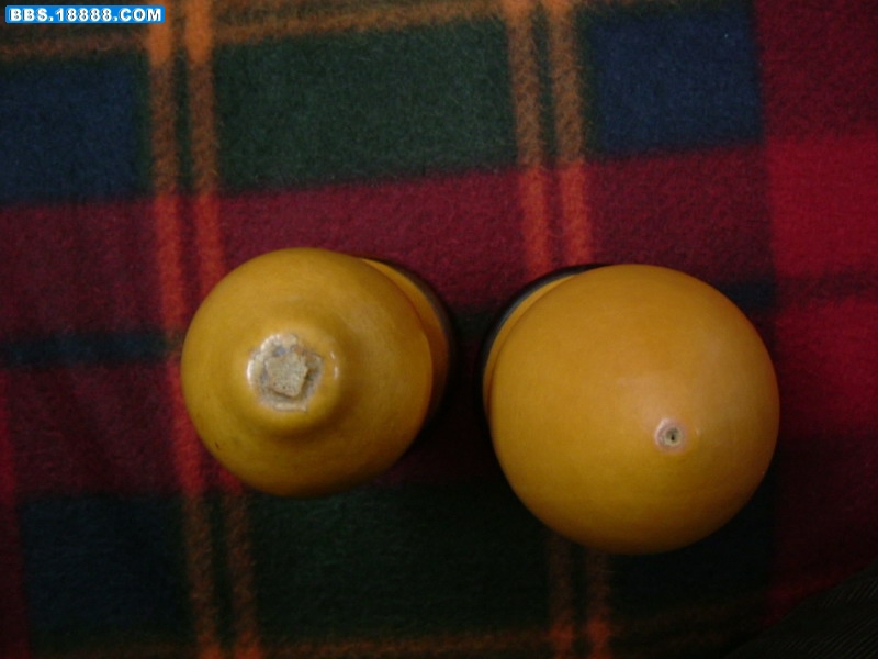 p4.jpg