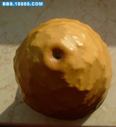 b2.jpg
