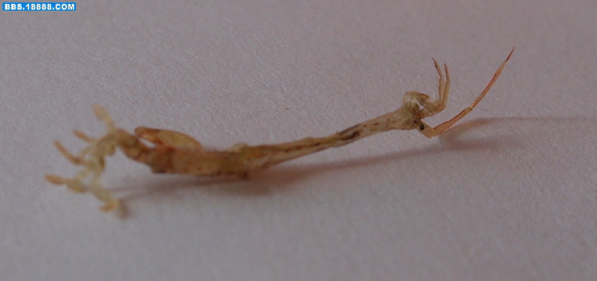 STP83592.JPG