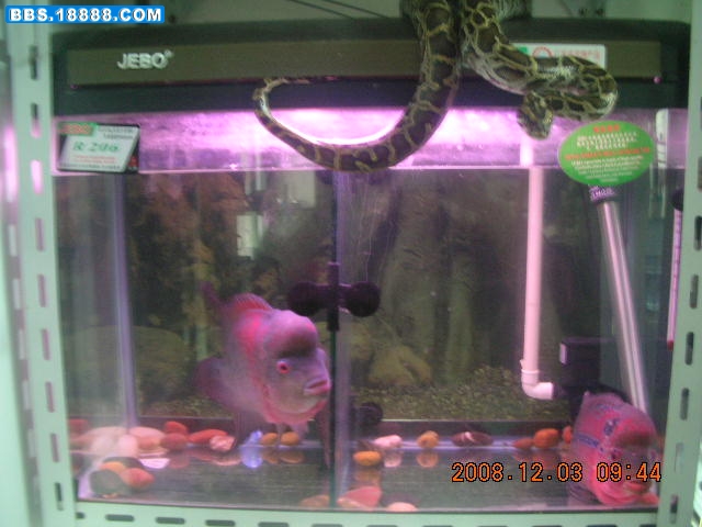 DSCN1565.JPG
