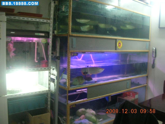 DSCN1579.JPG