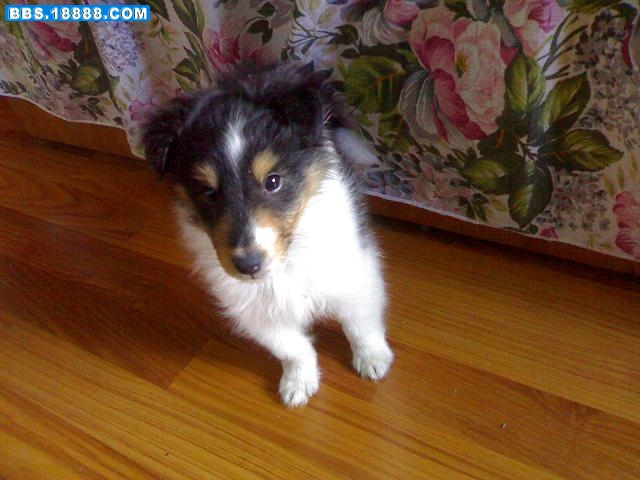 20080911778.jpg
