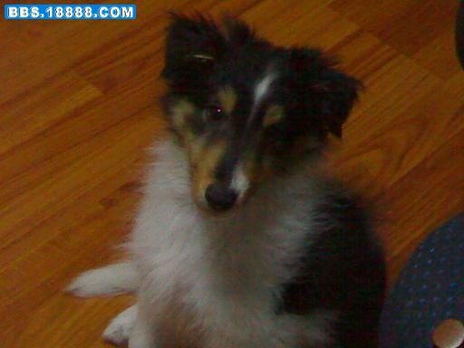 20081014830.jpg