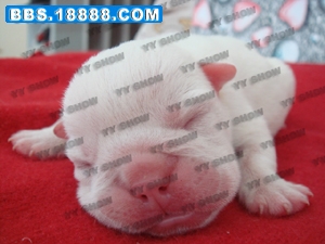 DSC05553 拷贝.jpg