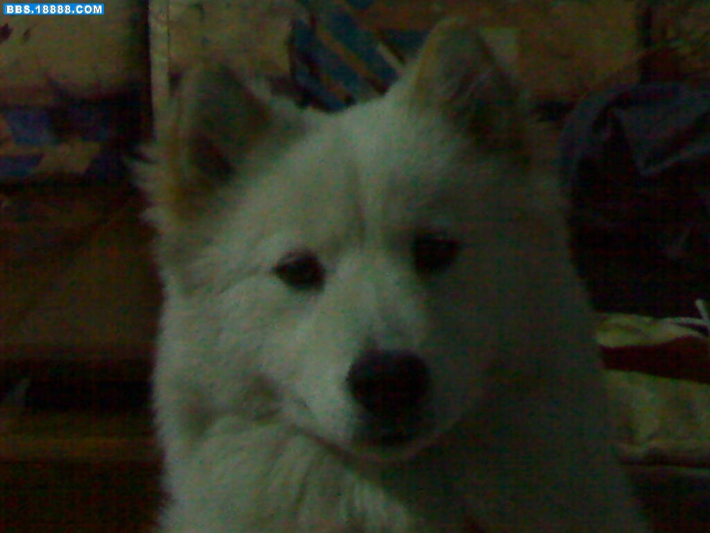 200812151305.jpg