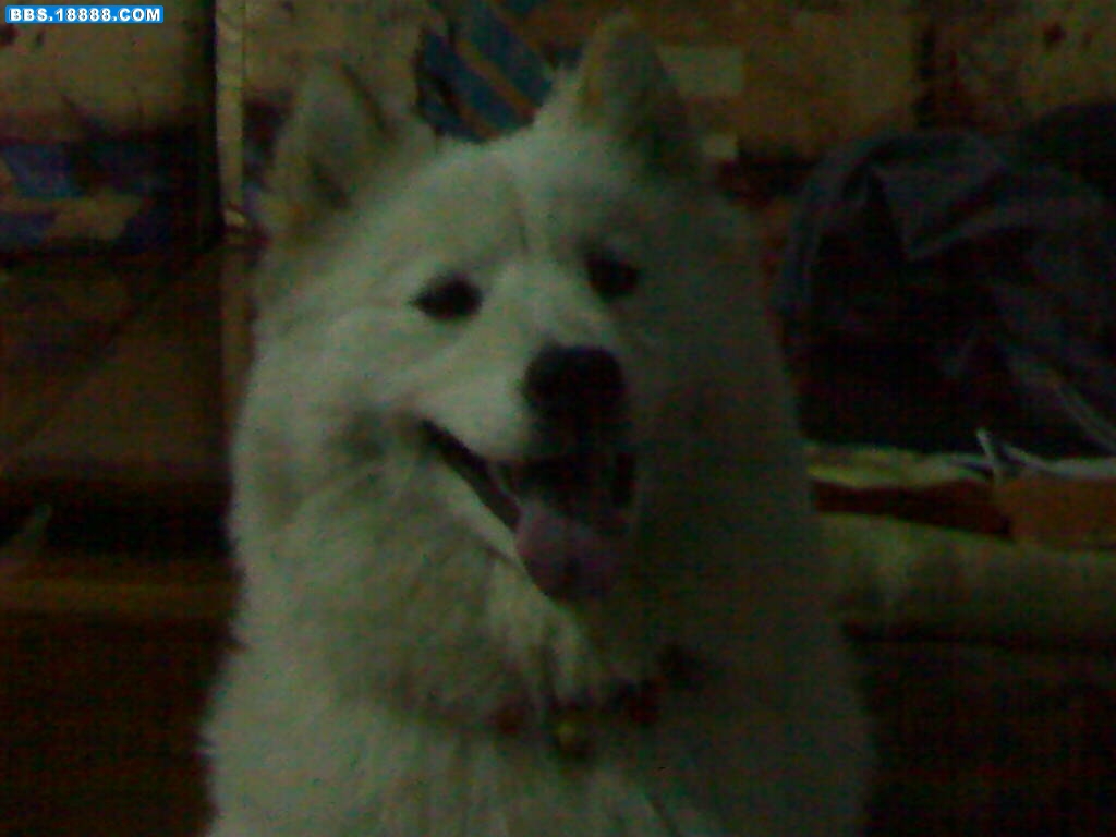 200812151306.jpg