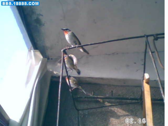 PIC_7589.jpg