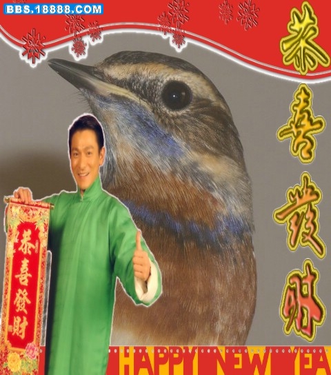 CIMG7326_副本.JPG
