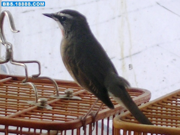 DSCN6636.JPG