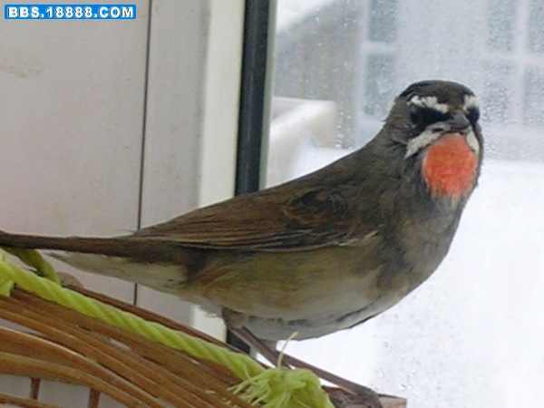 DSCN6677.JPG
