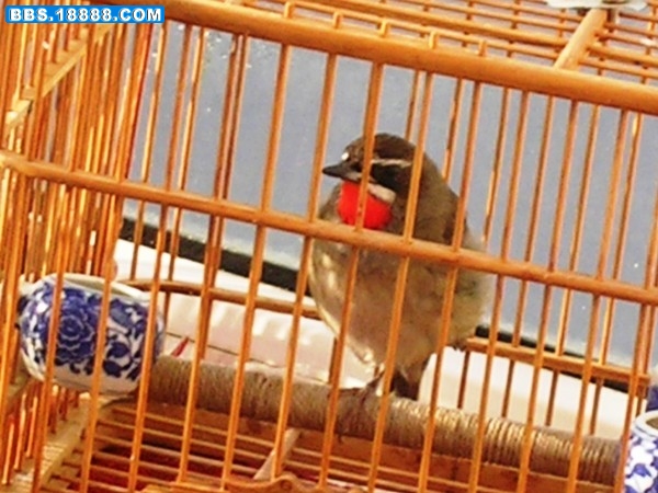DSCN6410.JPG