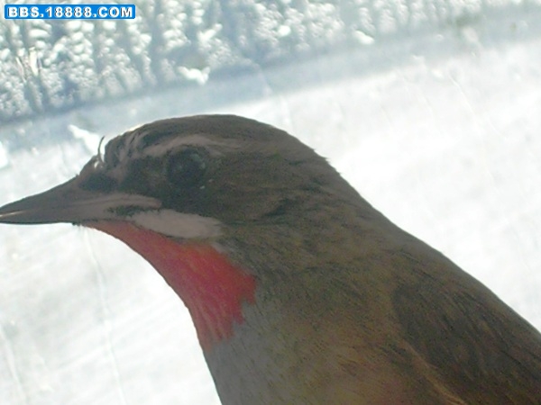 DSCN6530.JPG