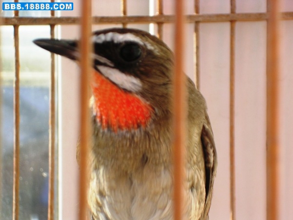 DSCN6313.JPG