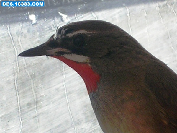 DSCN6536.JPG