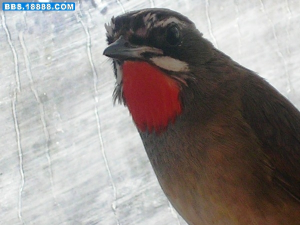 DSCN6537.JPG