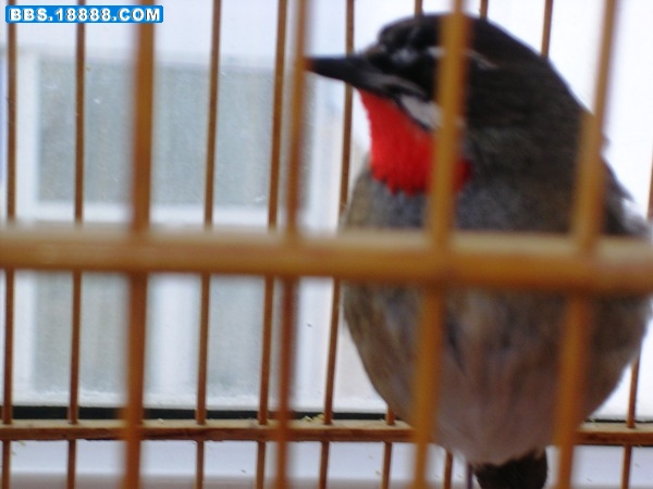 DSCN6809.JPG